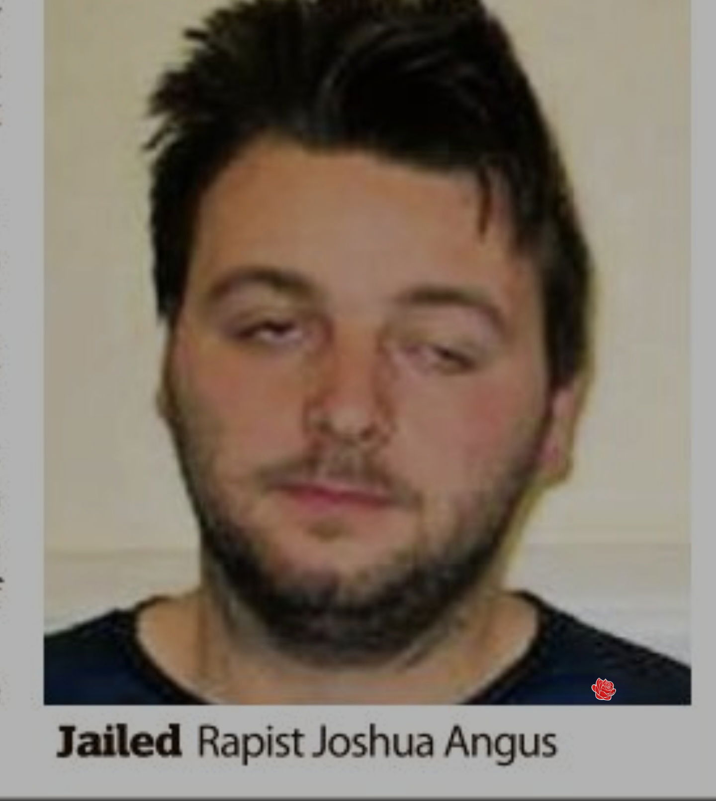 Profile image of Joshua Angus